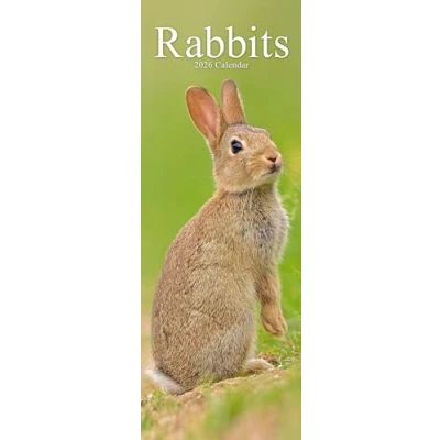 Image of Rabbits Slim Calendar 2026