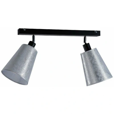Image of Eva Twin Ceiling Spotlight Silver, 30.5cm, 2x E27