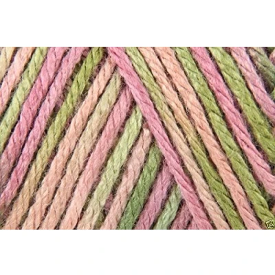 Image of Caron Simply Soft Paints Acrylic Aran Knitting Wool Yarn 141g 0002 Rose Garden