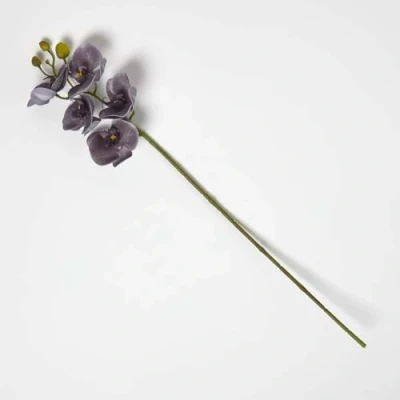 Image of HOMESCAPES Artificial Gray Orchid Stem with 5 Flowers 68 cm, Realistic Individual Flower