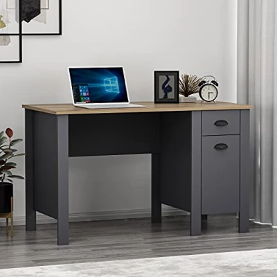 Image of HOMIDEA TEDDY Writing Desk Computer Workstation with drawer and storage space door in a modern design for home office or children&#039;s room. (Antrachite/Briarsmoke)