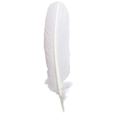 Image of Jacques Herbin Ref 23101T Traditional Goose Quill Writing Pens (Pack of 10) White Colour 28cm Long, Suitable for Use With Printed Parchment Paper