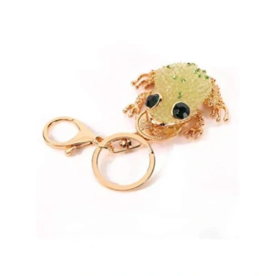 Image of Lachineuse Feng Shui Toad Keyring