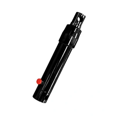 Image of Flowfit Hydraulic Single Acting Ram Cylinder, 30mm Rod, 300mm Stroke
