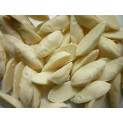 Image of White Chocolate Mega Mice (400g)