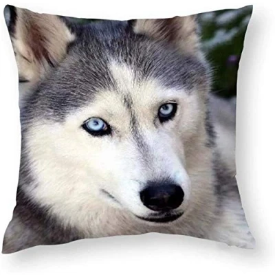 Image of Giftme Husky Cushion Cover for Bedroom/Sofa Car Chair Decor, 45 Cm X Linen Cover, Throw Pillow Cover.