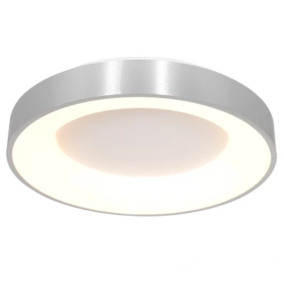 Image of Ring Sled Cylindrical Ceiling Light Geborsteld Zilver