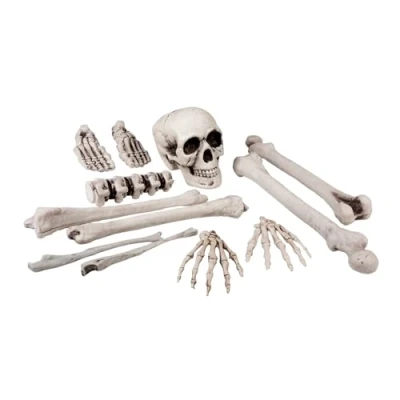 Image of Boland Set of 12 Skull and Bones Skeleton Decorations White, One Size Perfect for Halloween, Horror Nights, Themed Parties