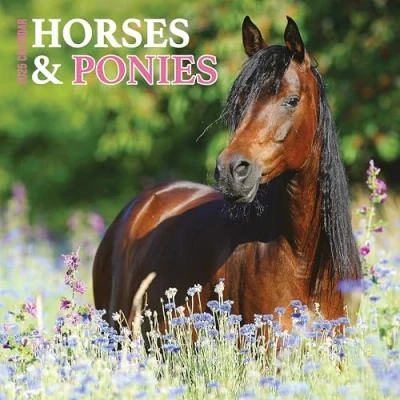 Image of Horses &amp; Ponies 2025 Calendar