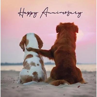 Image of Noel Tatt Anniversary Card Two Dogs Watching the Sunset Eco Friendly and Recyclable