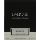 Image of Lalique Fig Tree Amalfi Italy Candle