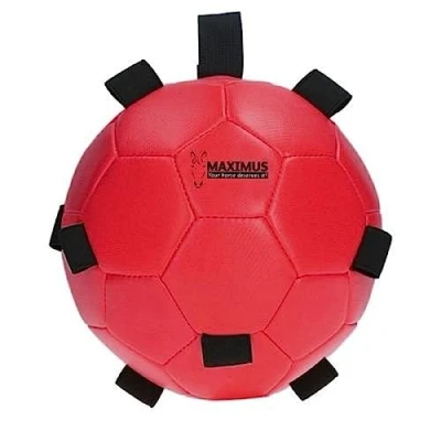 Image of Maximus Fun Play Ball Blue 19 Red