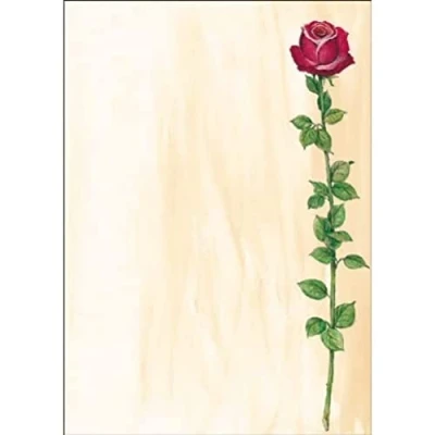 Image of SIGEL DP695 Writing paper &quot;Rose Bloom&quot;, A4, 90 gsm, 25 sheets