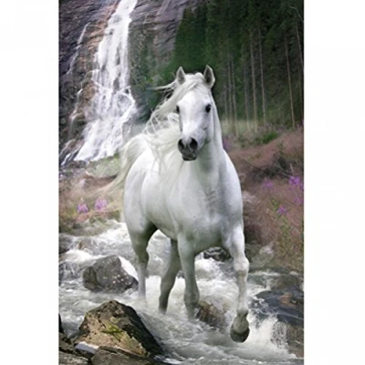 Image of GB eye Bob Langrish Waterfall 61 x 91.5cm Maxi Poster