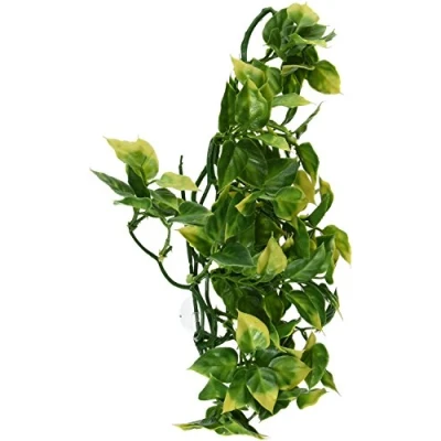 Image of Exo Terra Plastic Amapallo Plant, Medium