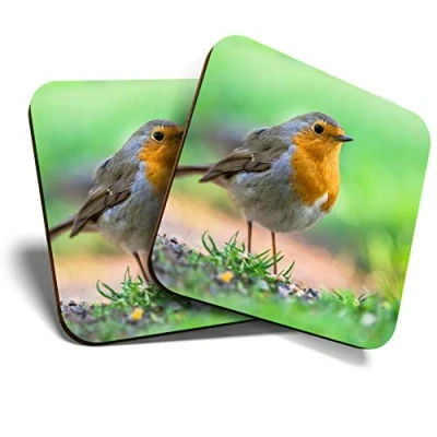 Image of Great Coasters (Set of 2) Square/Glossy Quality Coasters/Tabletop Protection for Any Table Type Garden Robin Bird Birds Christmas #15509