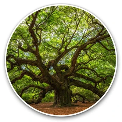 Image of Vinyl Stickers (Set of 2) 10cm Old Tree Forest Nature Oak Decals for Laptops,Tablets,Luggage,Scrap Booking,Fridges, 2868