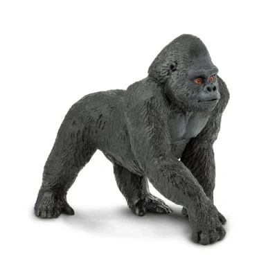 Image of Gorilla Male