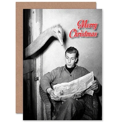 Image of Wee Blue Coo CARD ALTERNATIVE CHRISTMAS XMAS OSTRICH READING NEWS FUNNY