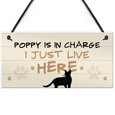 Image of RED OCEAN Cat In Charge Sign Funny Git Personalised Hanging Door Lover Gift
