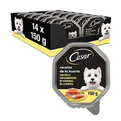 Image of Cesar Wet Food for Dogs, Garden Recipes in Pate and Gelatin (Pack of 14 Tubs x 150g)