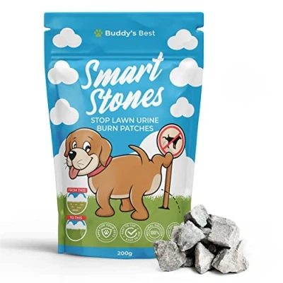 Image of Prevent Urine Burn Patches In Lawns Smart Rocks For Water Bowls Suitable Dogs And Cats Holistic Solution To Purify Pets Drinking Dog Neutraliser 200g