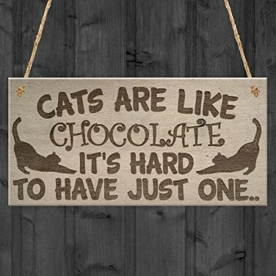 Image of RED OCEAN Cats Are Like Chocolate Funny Pet Diet Gift Wood Hanging Plaque Friendship Sign Cat Lovers