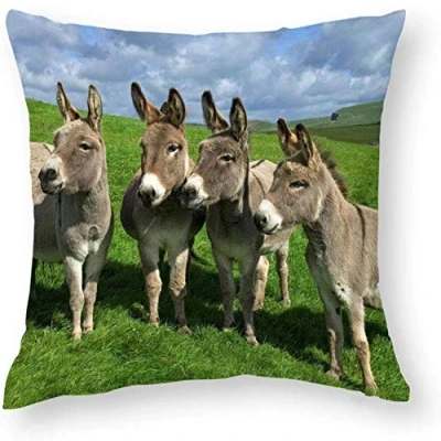 Image of Giftme Donkey Cushion Cover for Bedroom/Sofa Car Chair Decor, 45 Cm X Linen Cover, Throw Pillow Cover.