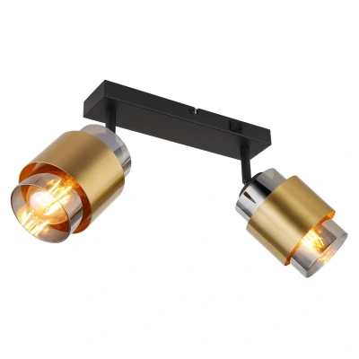 Image of Globo Milley downlight, 2 bulb