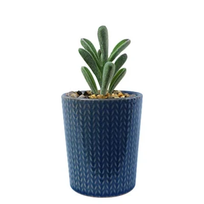 Image of Leaf Ceramic Stripe Planter with Artificial Plant
