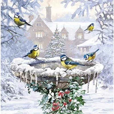 Image of The Almanac Gallery Box of 20 Artistic Charity Christmas Cards &#039;Winter Birdbath and Winter Feeder&#039; Lovely Designs with British Birds Cards, 10 Each 2