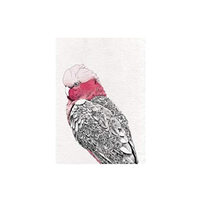 Image of Maxwell &amp; Williams Marini Ferlazzo Birds Printed Tea Towel with Galah Design, Cotton, Black/White, 50 x 70 cm