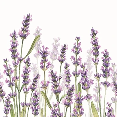 Image of 20 Napkins Lavender Meadow Flowers Summer Table Decoration 33 x cm