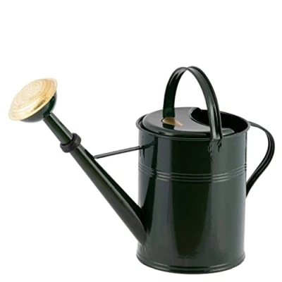 Image of PLINT 5L Watering Can Modern Style Pot for Indoor And Outdoor House Plants Coloured Galvanised Powder Coated Steel Metal Design With Narrow Spout High Handle (Green)