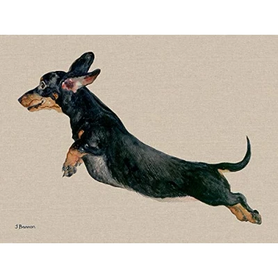 Image of Jane Bannon Freddy Canvas Print, Multi Colour, 60 x 80 cm