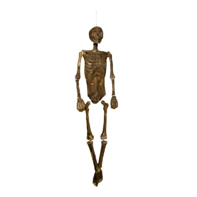 Image of 5ft (150cm) Full Body Halloween Mummified Skeleton Decoration with Posable Joints Large Lifesize Plastic for Indoor/Outdoor Decorations, Spooky Scary Decor