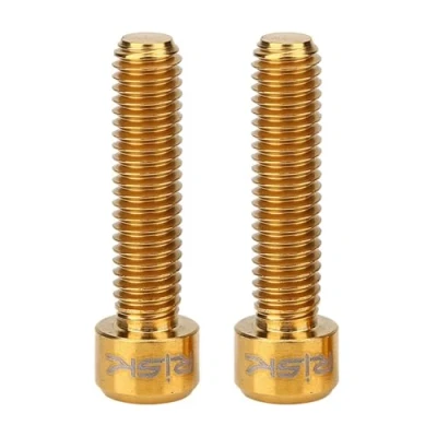 Image of Bnineteenteam 2Pcs Disk Brake Bolts, Titanium Alloy Bicycle Disc Caliper Screw M6 X 25mm Bolts Screws for Mountain Bike (Gold)