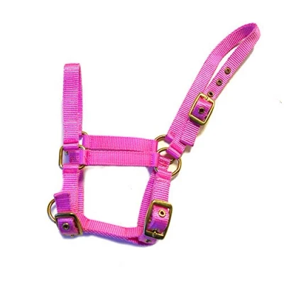 Image of Rhinegold Nylon Foal Headcollar Pink