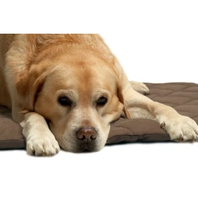 Image of Petlife Flectabed Q Thermal Pet Bedding for Dog/ Cat, 50 x 30 inch, Brown