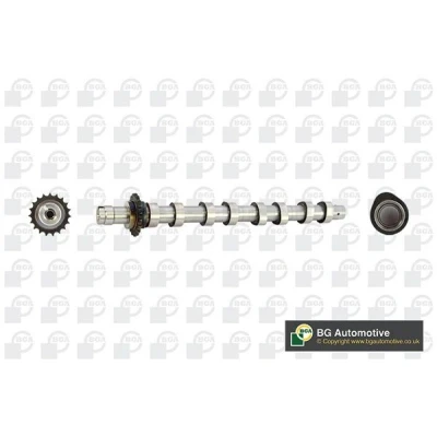 Image of 9655918580 Camshaft BGA CS5531 Intake Side PEUGEOT: 307 SW, Partner II Van, 206 Hatchback, CITROËN: Berlingo / First I Van