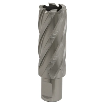 Image of Worksafe Rotabor Cutter HSS Ø25mm Cut Depth 50mm