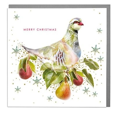 Image of Lola Design Wildlife Wonderful Christmas Cards Blank and Envelopes Partridge