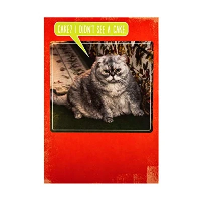 Image of Hallmark Studio Birthday Card Funny Photographic Cat &amp; Cake Design