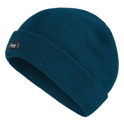 Image of Regatta Professional RG1531 men&#039;s Beanie in Blue