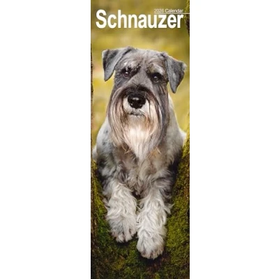 Image of Schnauzer Slim Calendar 2026