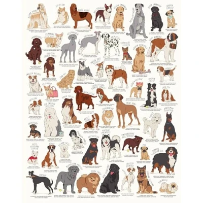 Image of Ridley&#039;s Games JIG056 Dog Lovers Jigsaw Puzzle, White, 1000 Piece