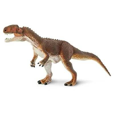 Image of Safari S302629 Model