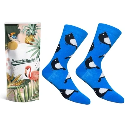 Image of llamabanana® Women&#039;s Luxury Cotton Socks Calf Length Premium Quality &amp; Colourful Designs 1 pair 3.5 to 6.5 UK Size (Bird)