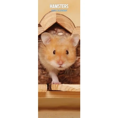 Image of Hamsters 2025 Slim Calendar