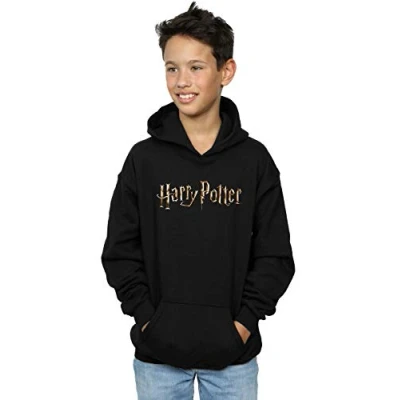 Image of Harry Potter Boys Full Colour Logo Hoodie Black 12 13 Years